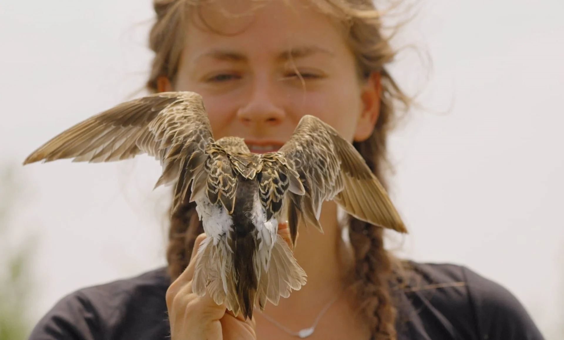 Fotograma de la película 'Flyways' que inaugura la X edición del Ciclo de Cine Documental Pajareros / Foto: La Casa Encendida