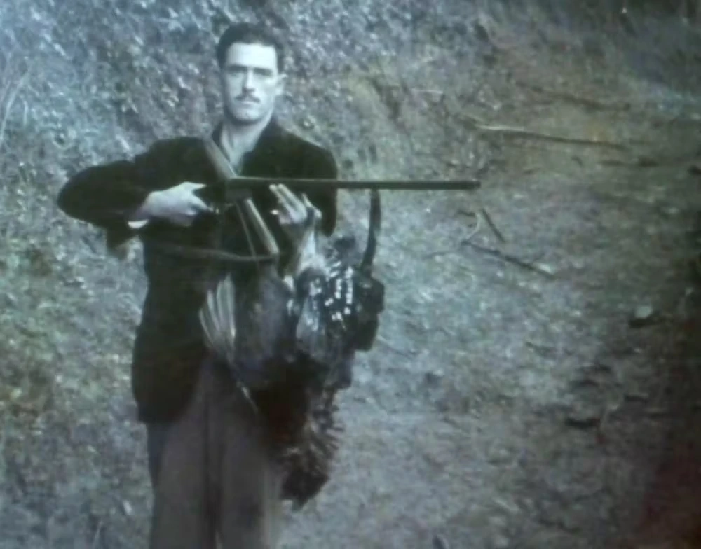 Urogallo macho cazado ilegalmente en Aller (Asturias) en la década de 1960. Archivo documental Adrian Vigil Urogallo macho cazado ilegalmente en Aller (Asturias) en la década de 1960. Archivo documental Adrian Vigil