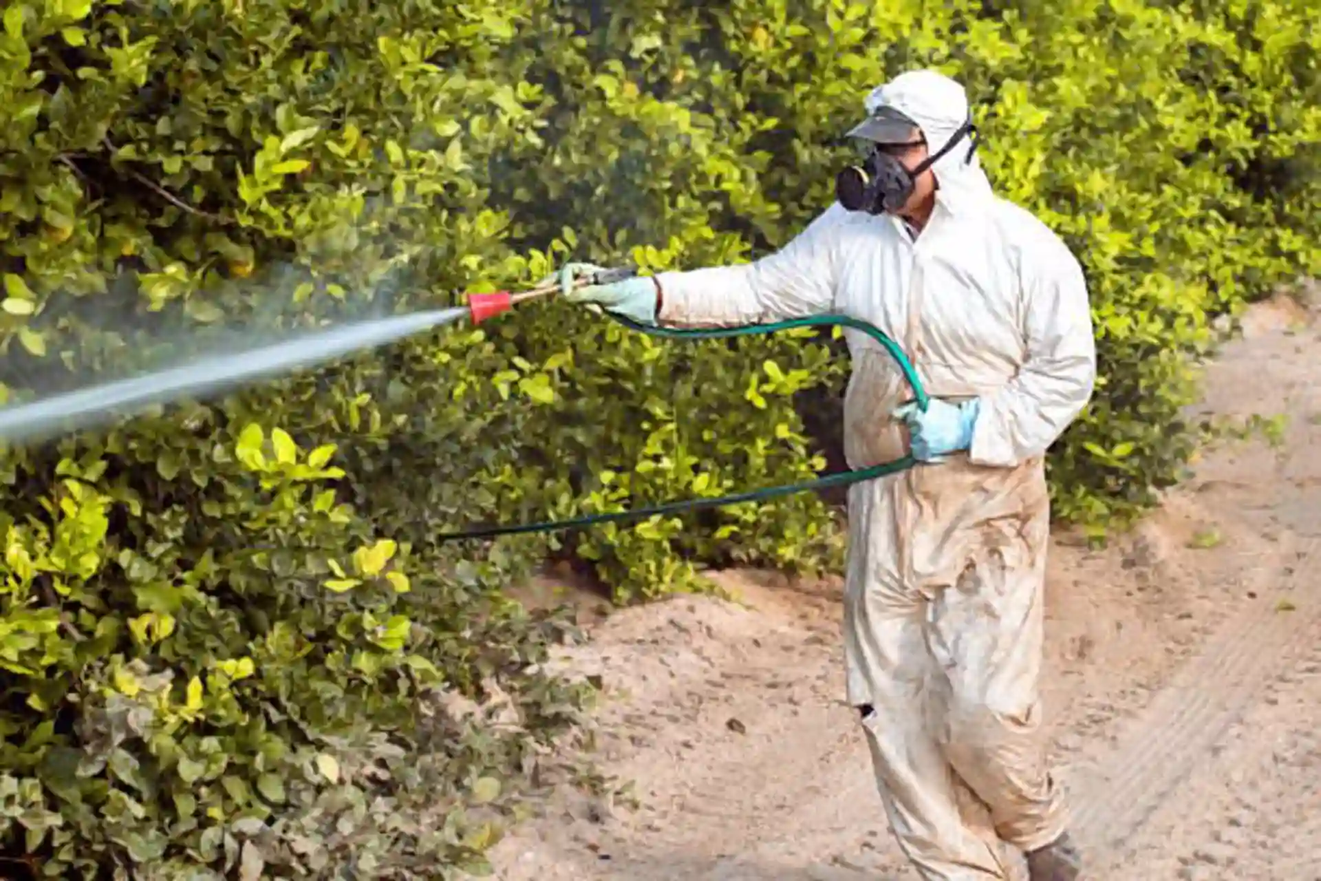 La Justicia europea prohíbe los pesticidas que contengan 'clorpirifos-metil' / Foto: EP