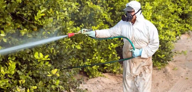Pesticidas contendo clorpirifos-metilo proibidos na UE