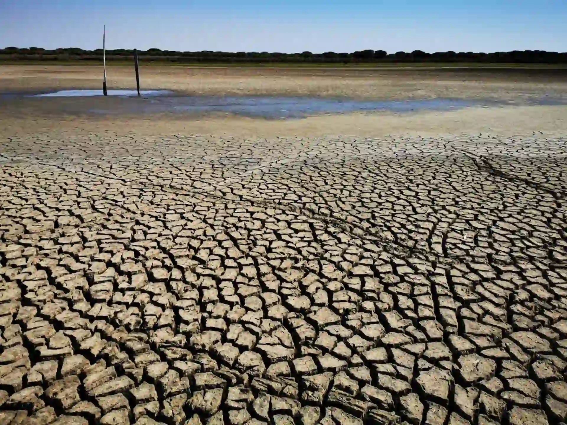 La laguna de Santa Olalla, la única permanente que quedaba en Doñana, se secó completamente en el verano de 2022. Temperaturas sin precedentes / Foto: Carmen Díaz Paniagua - SINC