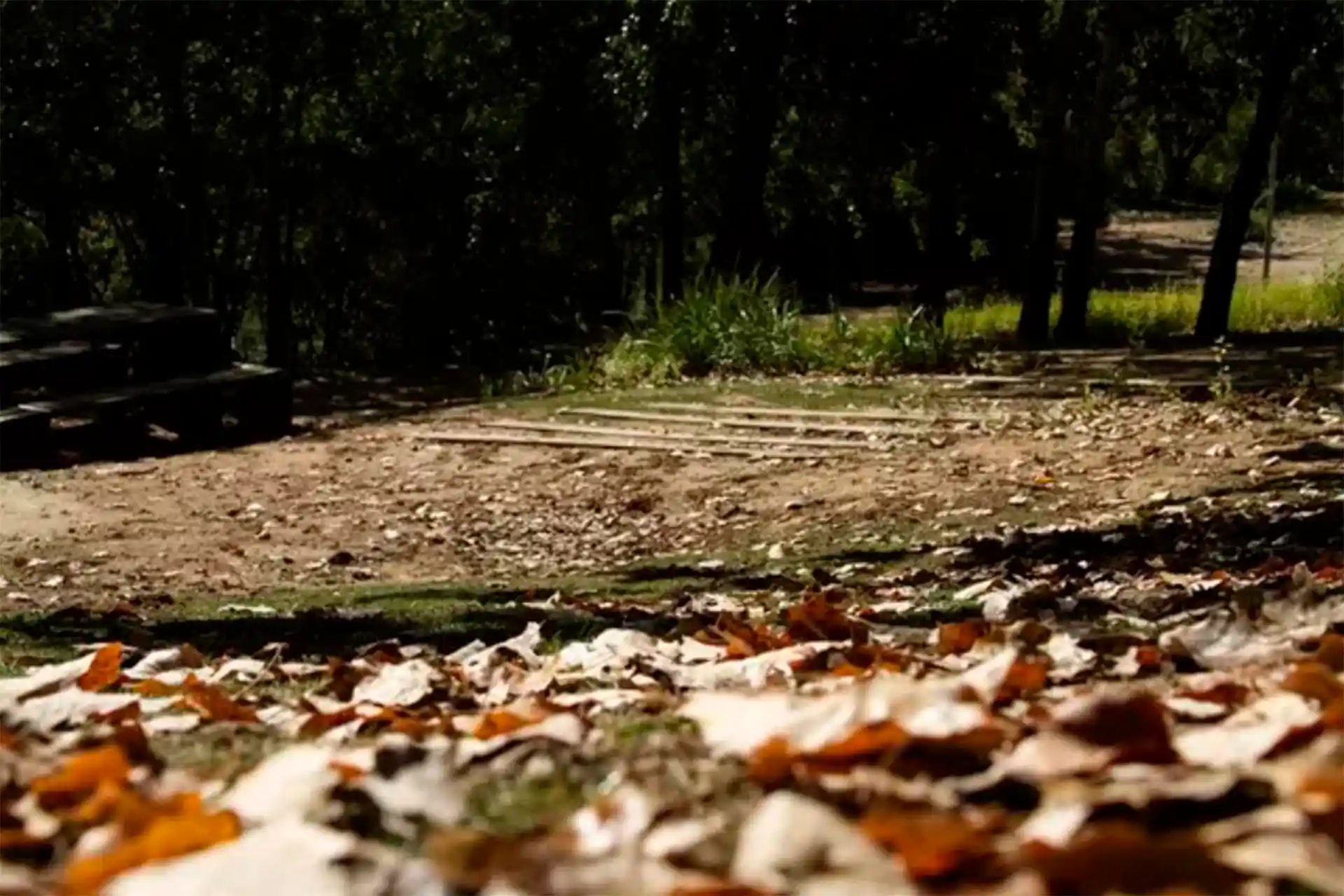 El mes de otoño sigue con temperaturas de verano en el Parque de Las Moreras de Valladolid / Foto: EP