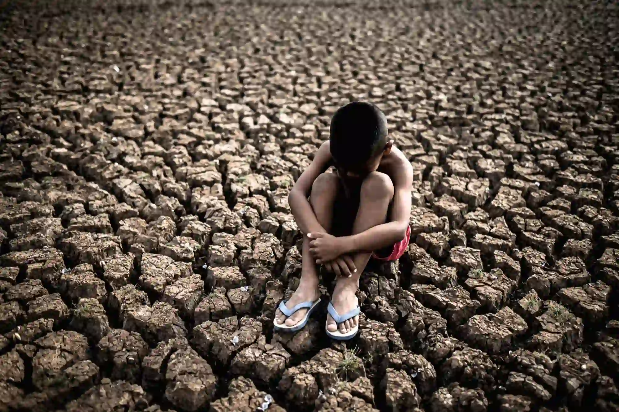 Imagen Día Internacional contra el Cambio Climático 2024 / Foto: FP