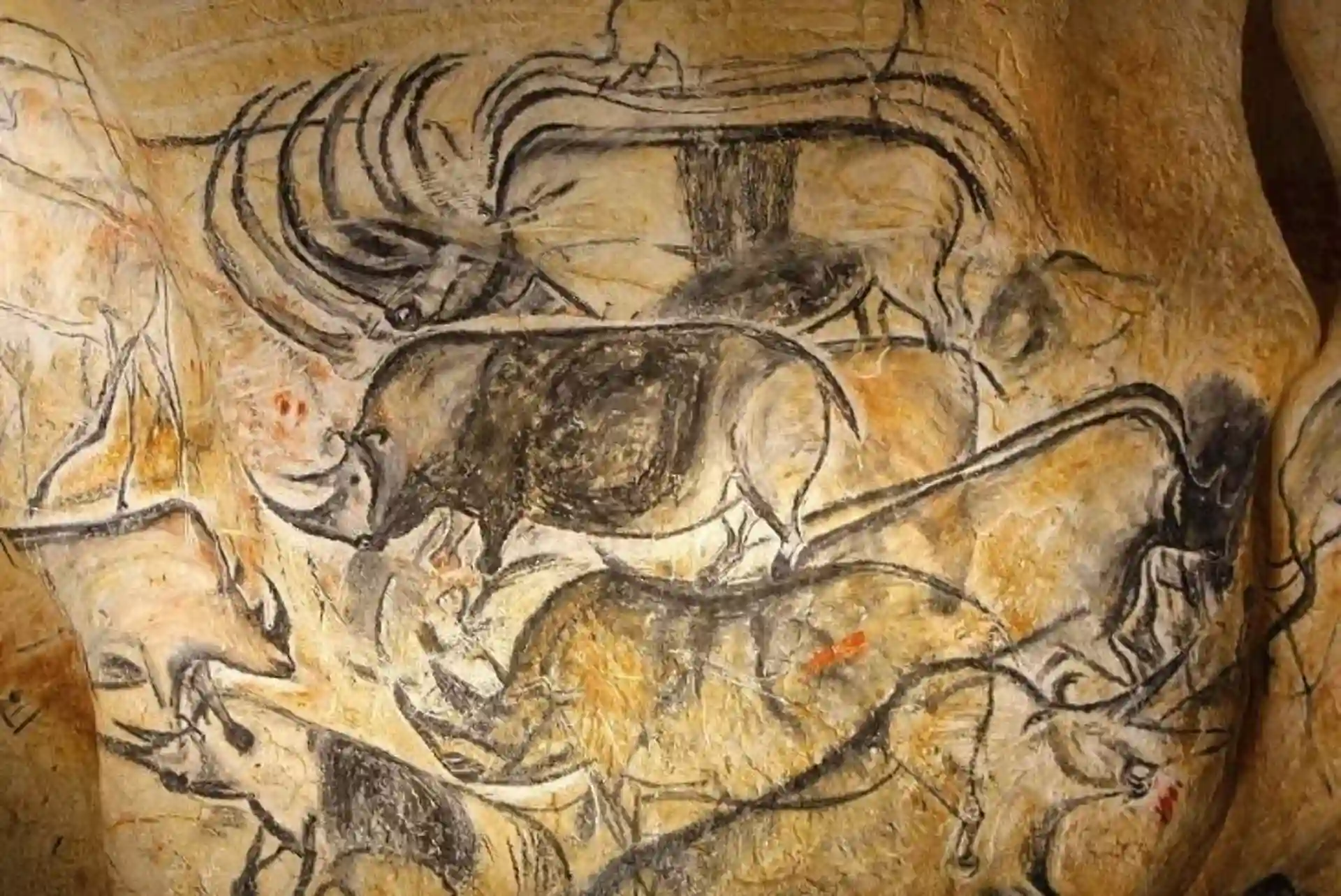Animales representados en pintura rupestre. Desafío a los roles de género prehistóricos: mujeres cazadoras / Imagen: EP