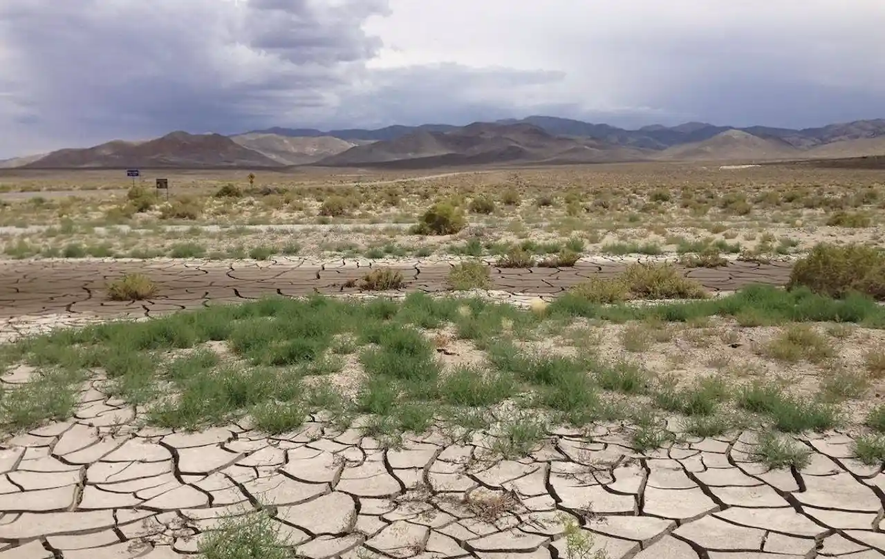 La degradación ambiental favorece la aparición de enfermedades zoonóticas. La extrema sequía por todo el continente americano / Foto: EP