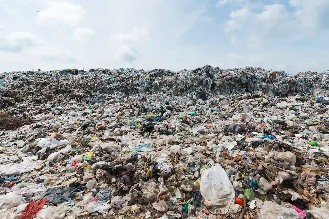 '¿Quién paga la contaminación por plástico?' / Foto: WWF
