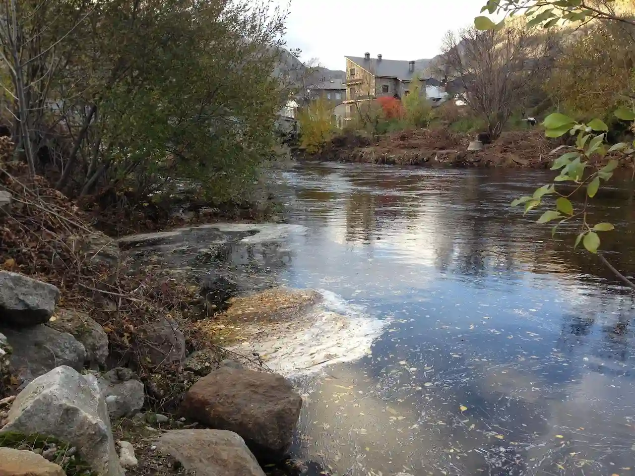 Reglamento de Restauración de la Naturaleza, "muy lejos" de lo que la ciencia marca. Contaminación en el lago de Sanabria / Foto: EP