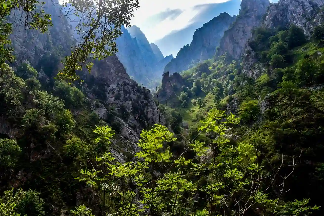 Biodiversidad en Europa. Especies en peligro de extinción. Asturias / Foto: PB