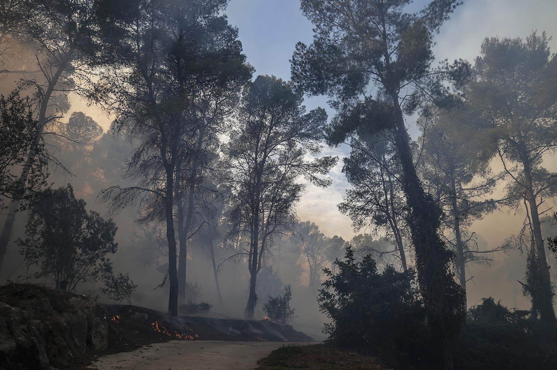Una zona afectada por el fuego, a 3 de noviembre de 2023, en Ador, Comunidad Valenciana / Foto: Rober Solsona