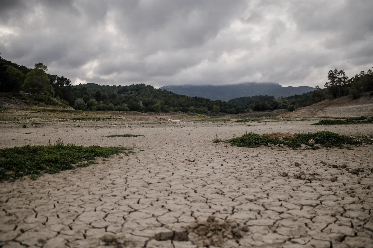 Situación de sequía "muy crítica"en Catalunya. Vista del pantano de Riudecanyes, a 4 de mayo de 2023 / Foto: Laia Solanellas - EP