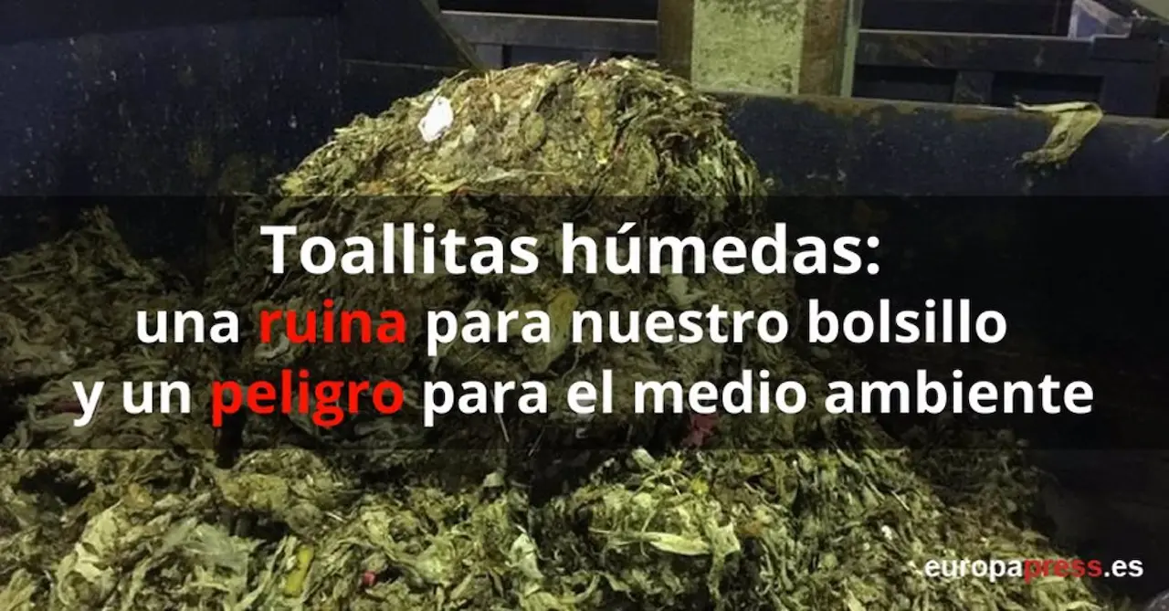 Las toallitas humedas, el "monstruo de los retretes que tiene que desaparecer" / Foto: EP