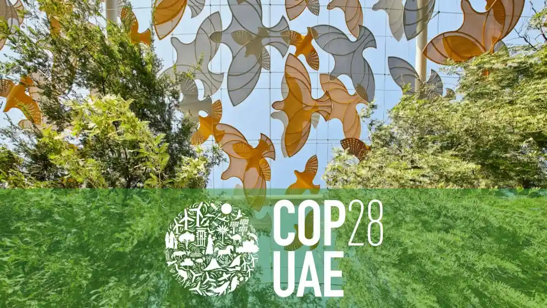 COP28 y sus objectivos deseables / Imagen: Ecologistas en Acción