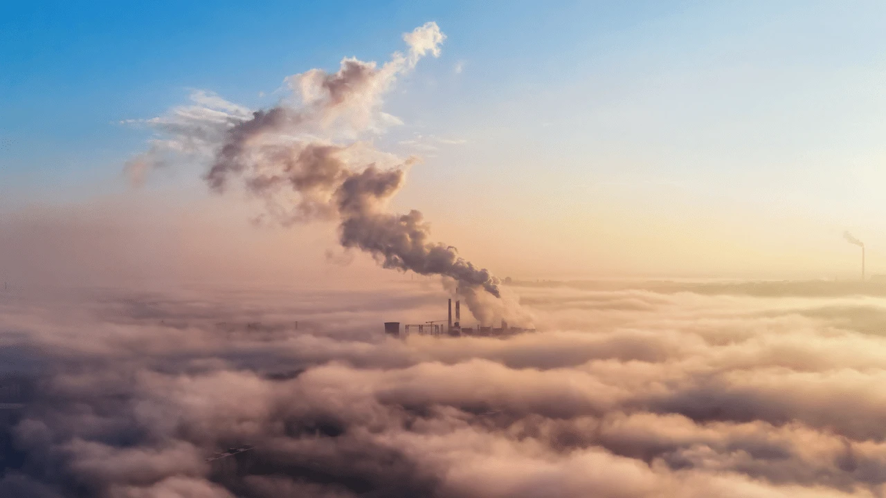 Los esfuerzos dirigidos a reducir emisiones mediante soluciones basadas en la naturaleza son una prioridad. COP28 / Foto: FP