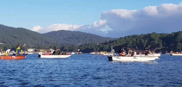 Catastrophic zone in estuaries affected by shellfish mortality