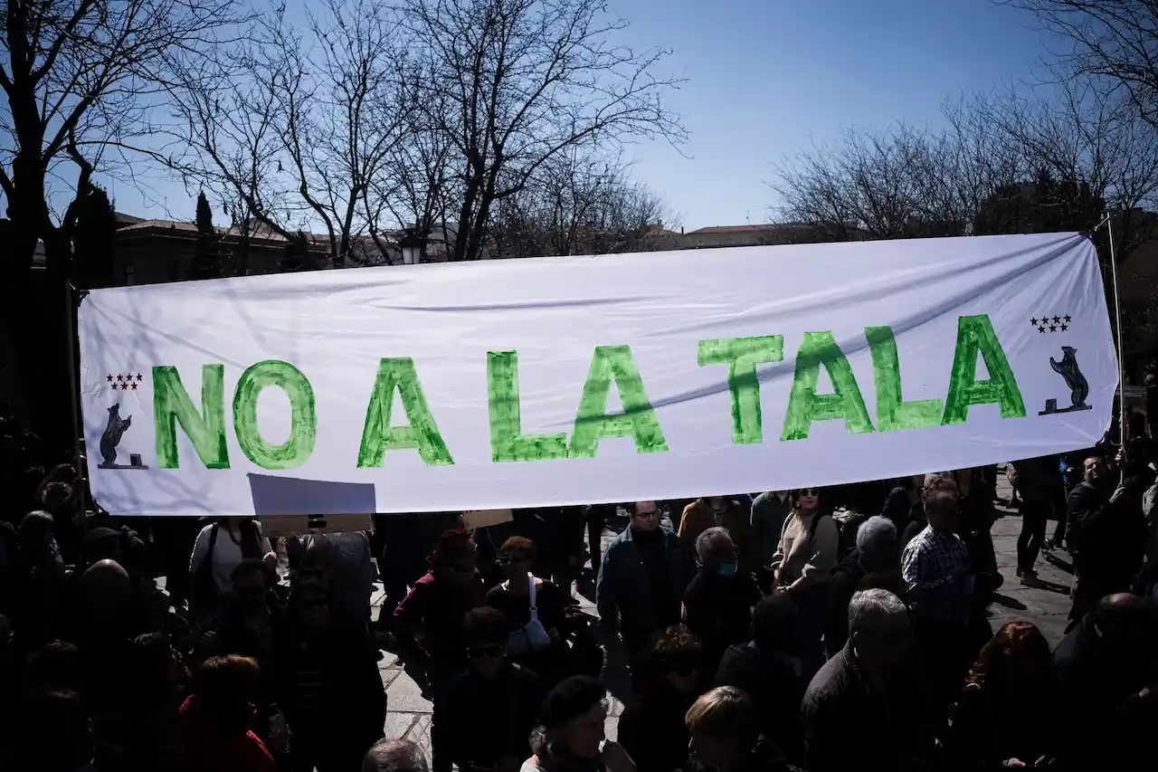 Piden de nuevo a Almeida que pare la tala / Foto: Diego Radamés