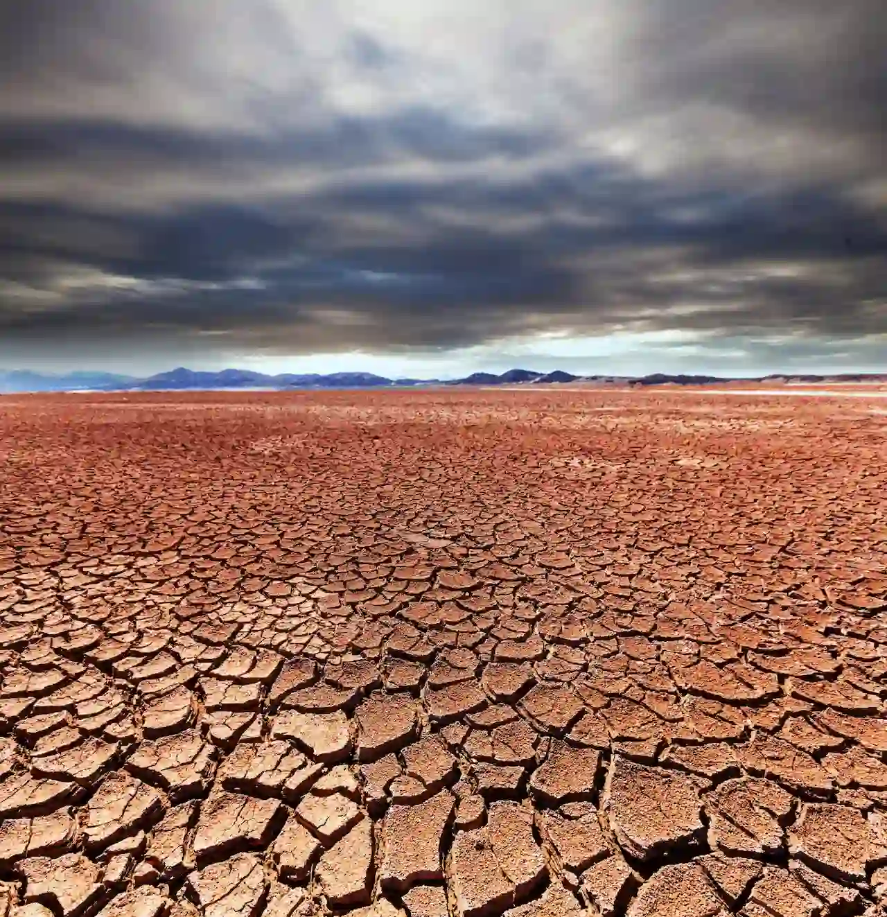 Aunque algunas regiones han experimentado lluvias por encima de la media durante este otoño boreal, la sequía persiste en extensas áreas alrededor del mundo. 2023 será el año más cálido / Foto: FP