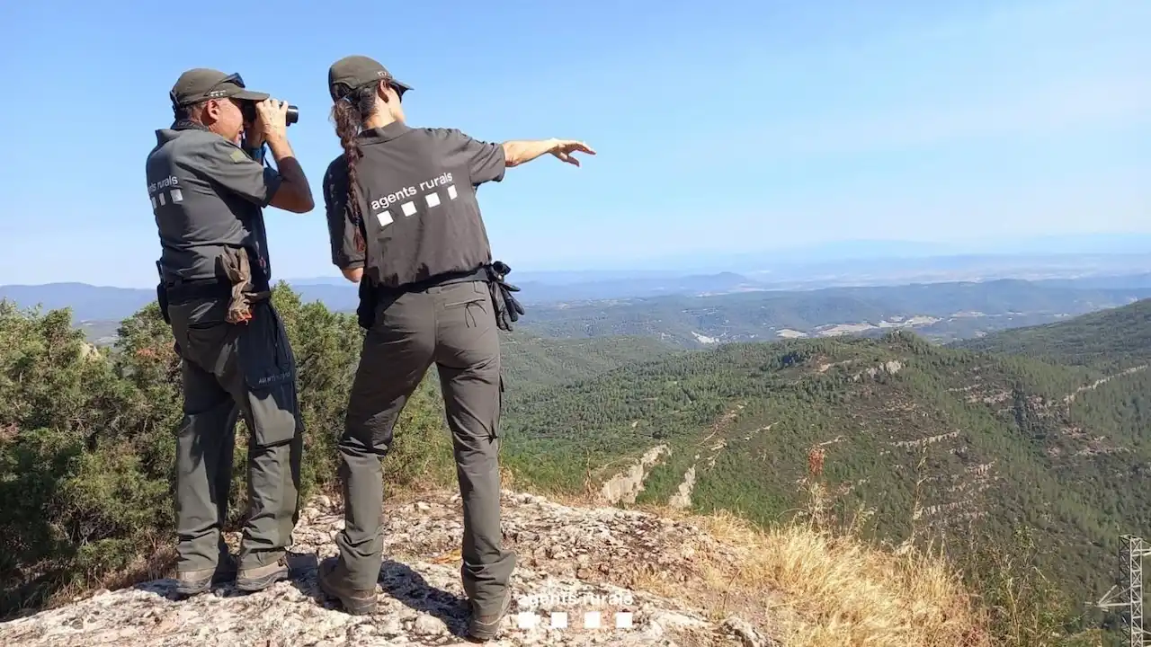 Agents Rurals  incrementan acciones para minimizar la mortalidad de aves  / Foto: EP