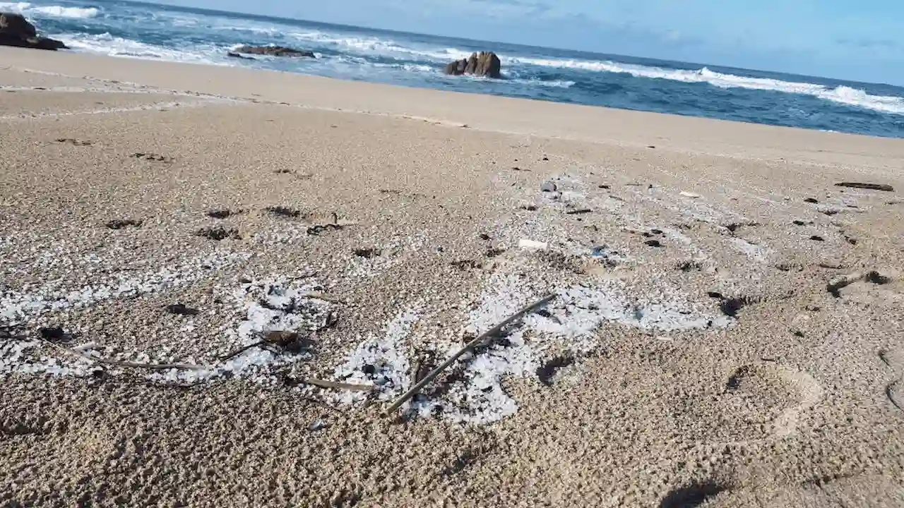 Millones de partículas de plásticos a costas gallegas / Foto: Noia Limpa