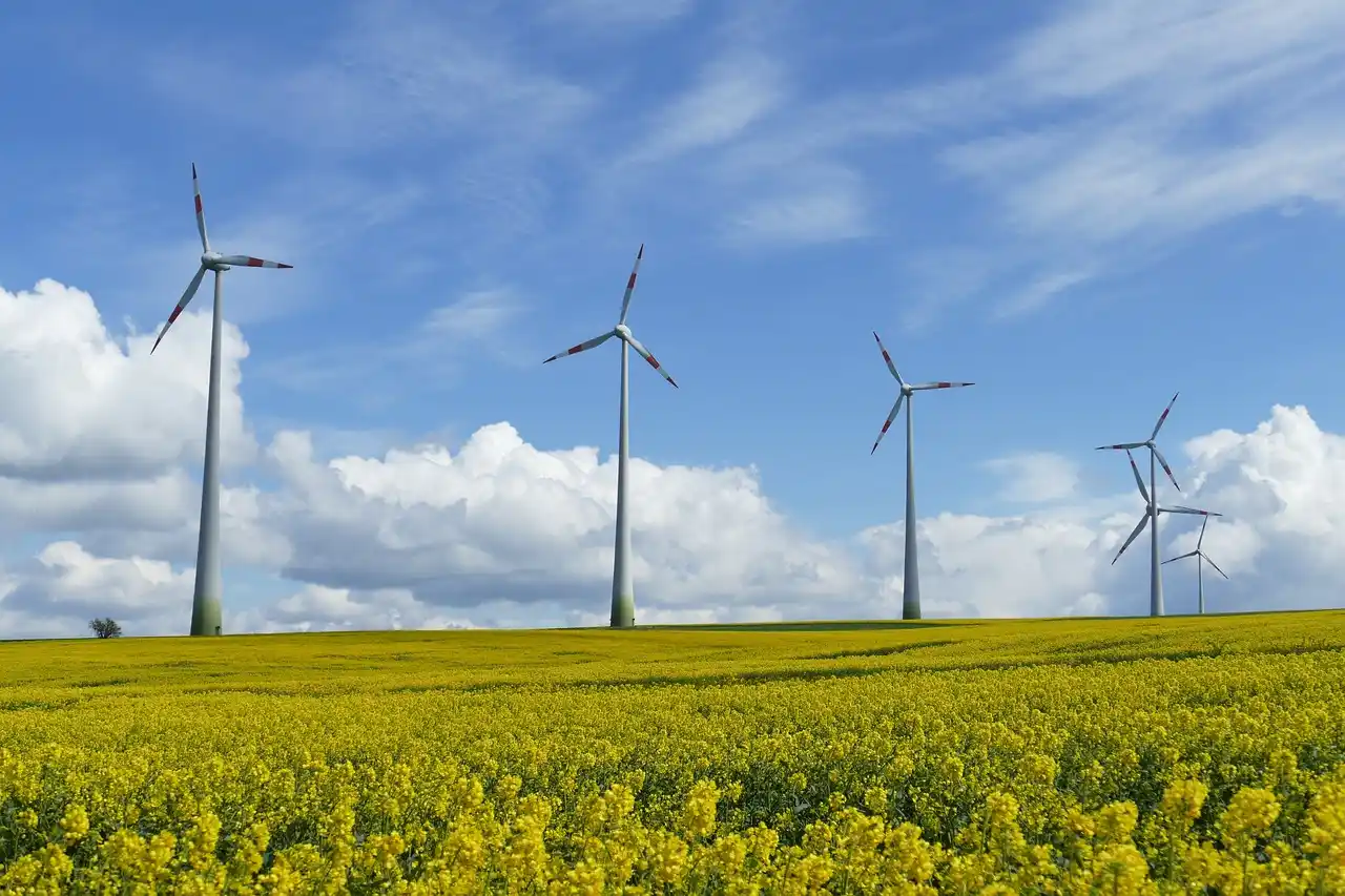 Imagen Día internacional de la energía limpia / Foto: PB