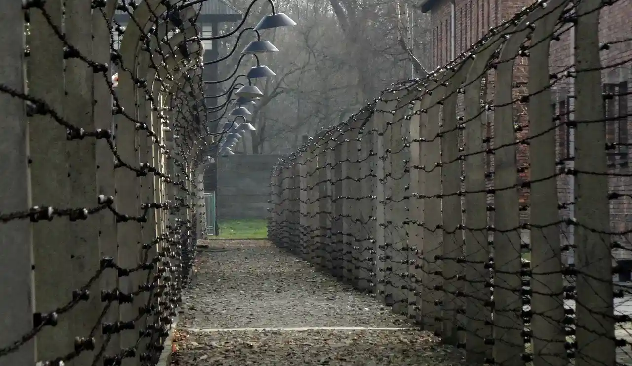 Imagen Día internacional de las víctimas del holocausto / Foto: PB