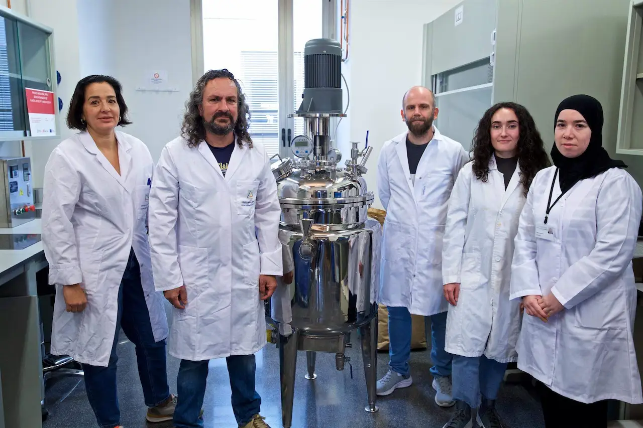 El equipo de trabajo que logró eliminar los contaminantes en plástico reciclado / Foto: UA