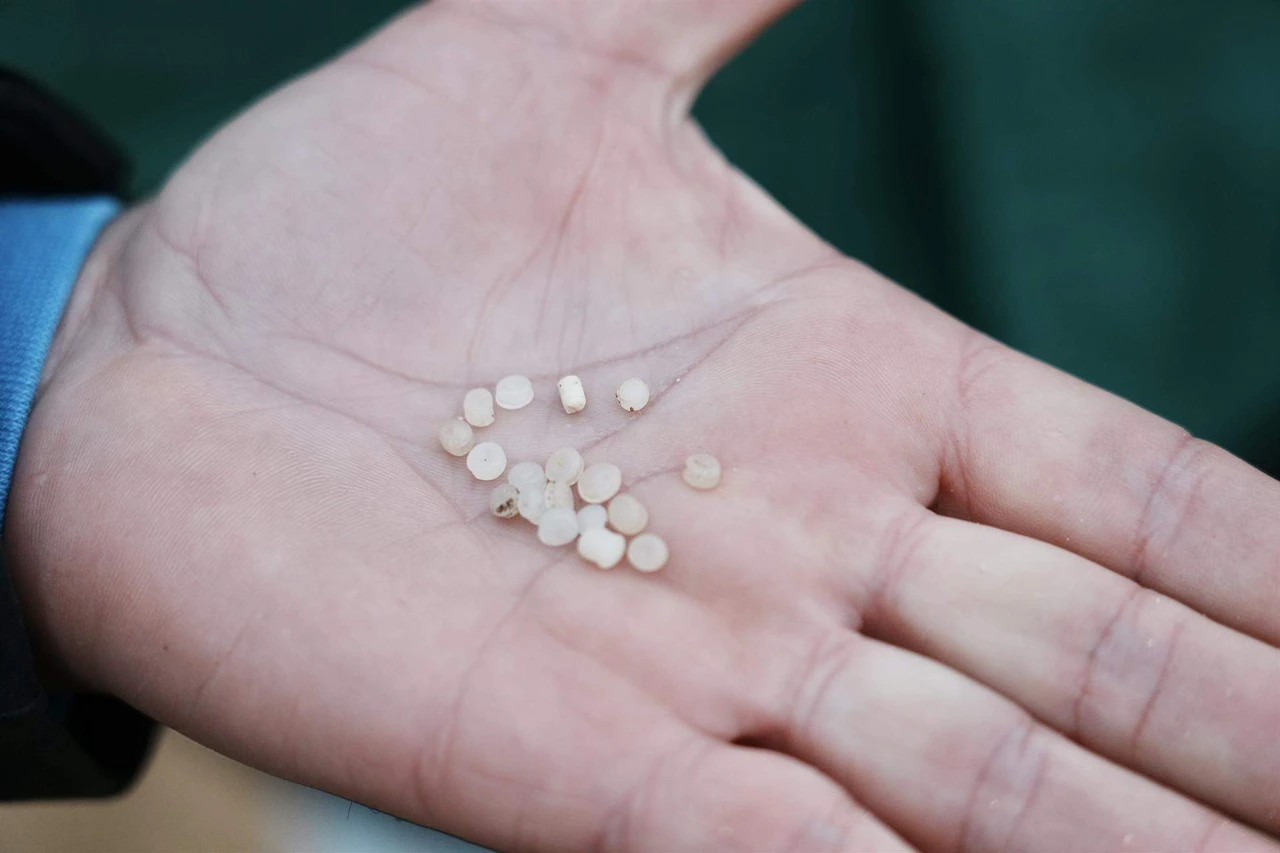 Pélet, es la grafía que la RAE considera correcta en español del extranjerismo 'pellet' / Foto: EP