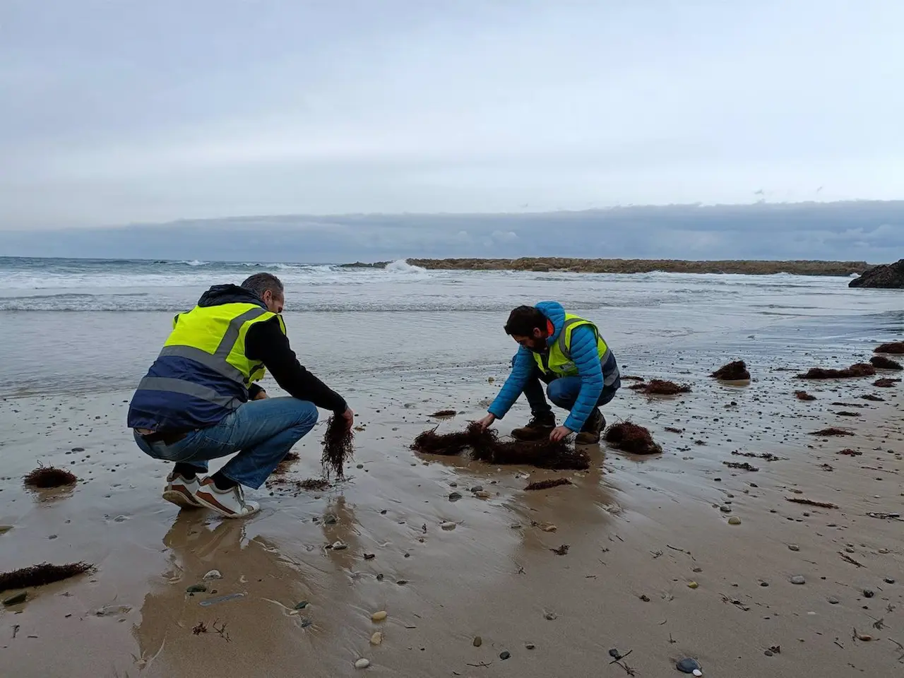 Técnicos rastreando la playa de Pechón (Cantabria) para comprobar la presencia de pélets. La Comunidad pide al Estado recoger los pélets en alta mar / Foto: EP