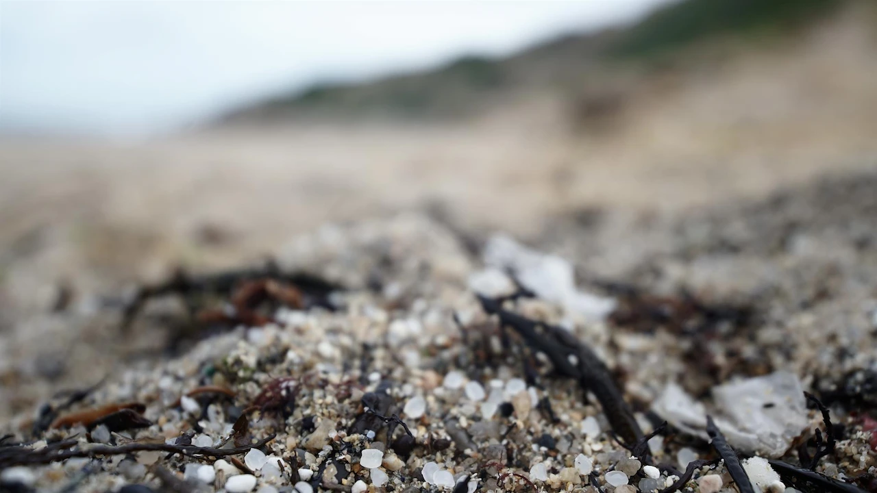La Comisión Europea advierte de que los pélets de plástico "amenazan al medio marino y la pesca" / Foto: EP