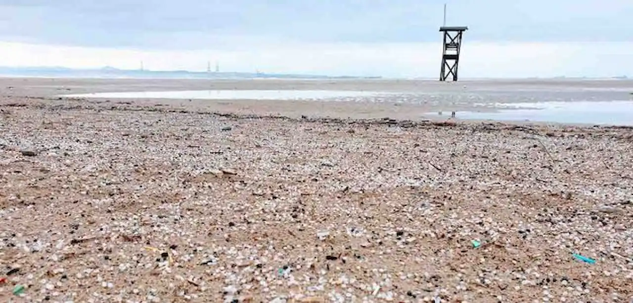 Pélets de plástico contaminan la costa de Tarragona / Foto: EP
