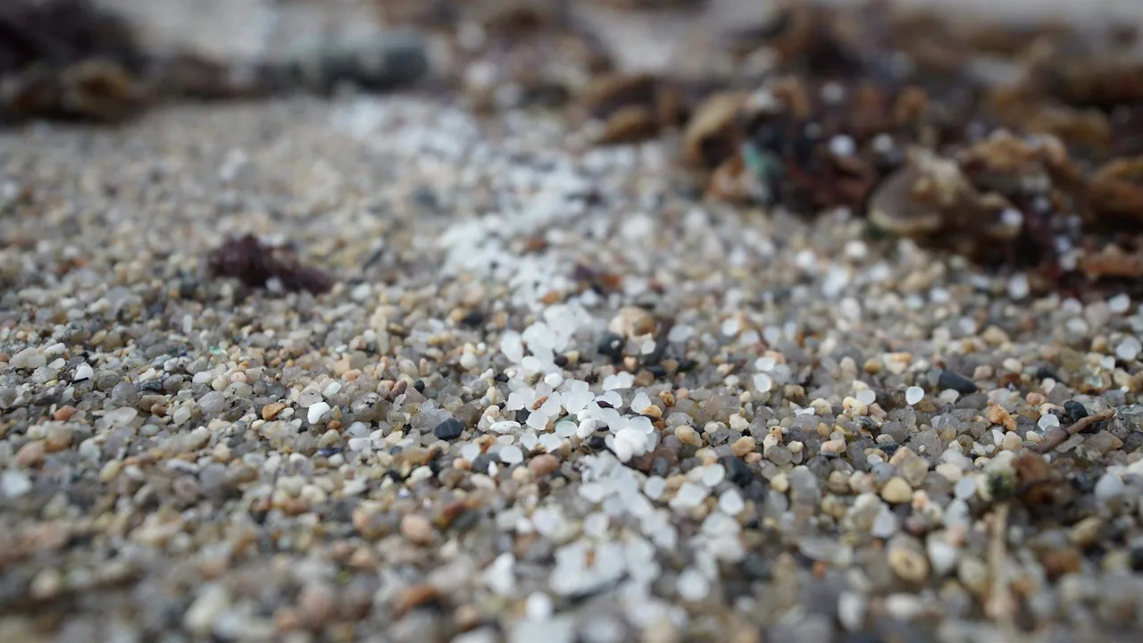 Pélets de plástico en la playa de Sabón, a 9 de enero de 2024, en A Coruña, Galicia (España) / Foto: EP