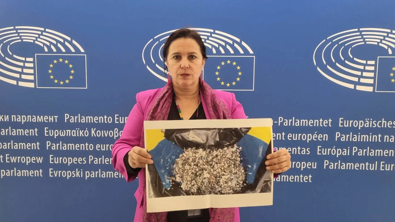 Ana Miranda del BNG insta a la Comisión a incluír en la normativa europea la contaminación por microplásticos en el transporte marítimo / Foto: EP