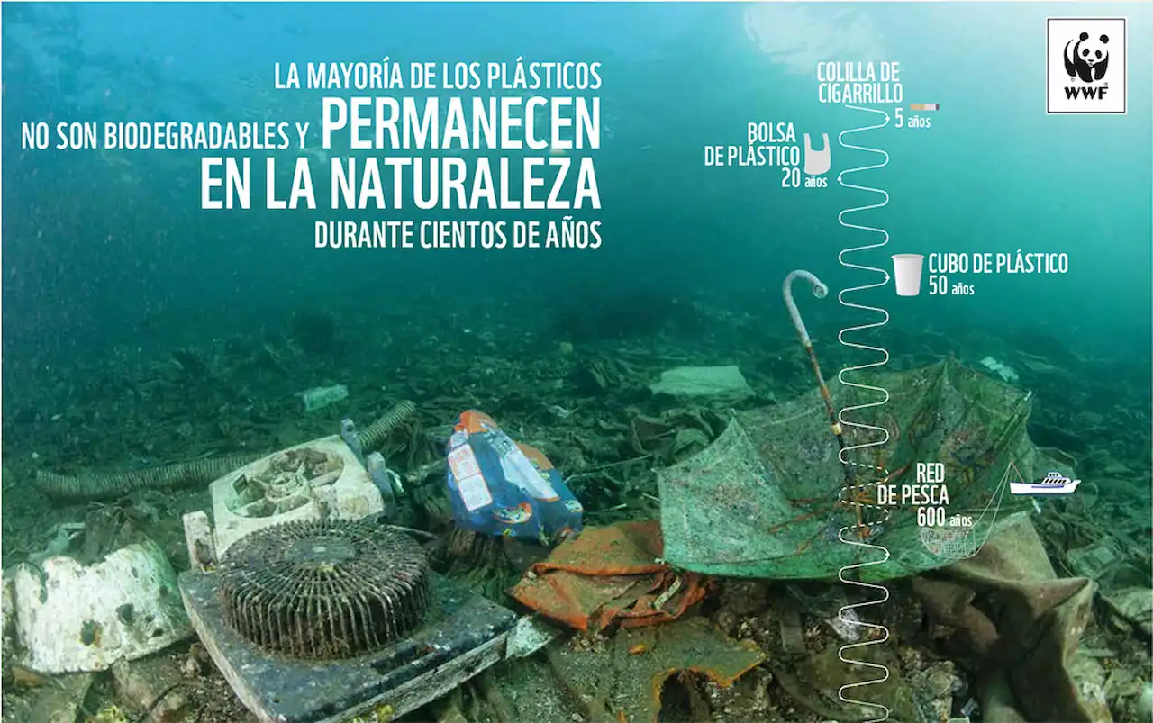 Los residuos de plástico Los residuos de plástico
