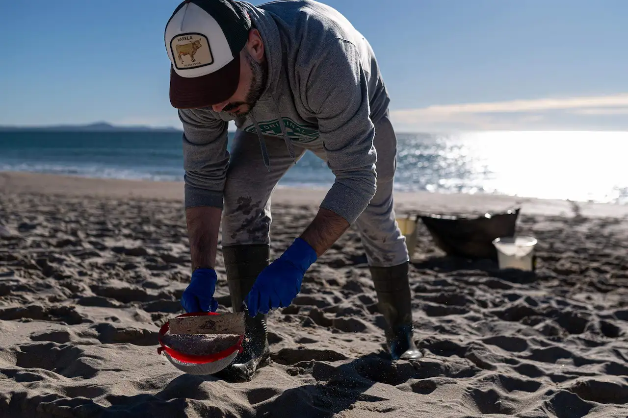 Voluntarios hacen una recogida de pélets de la arena / Foto: EP