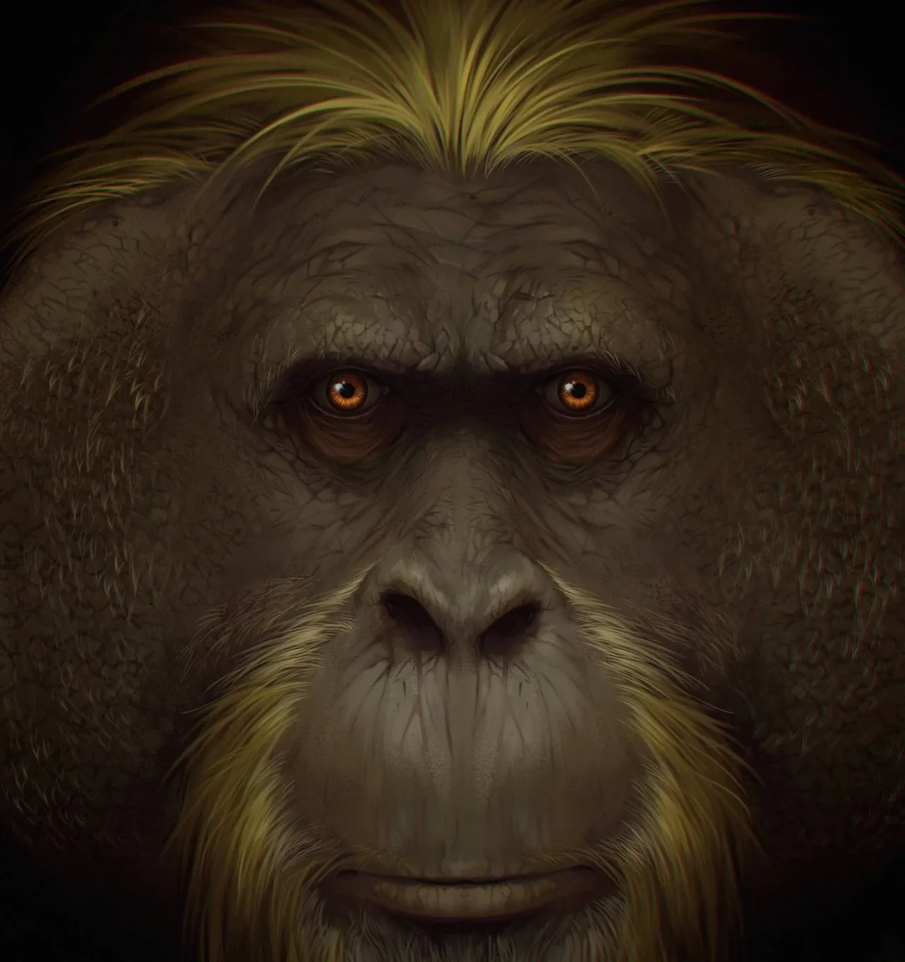 Ilustración artística de 'Gigantopithecus blacki' Ilustración artística de 'Gigantopithecus blacki'