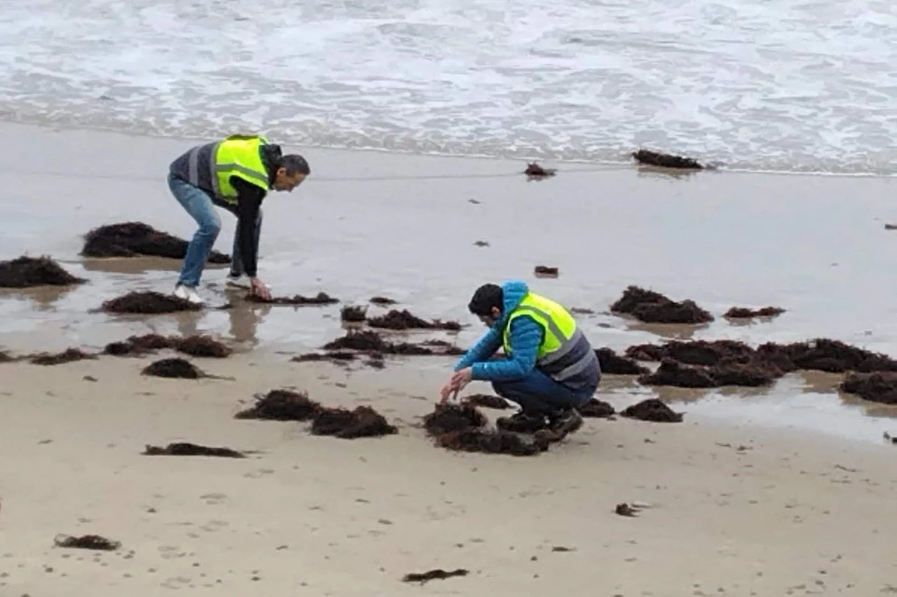Cantabria sigue vigilante a la llegada de los pélets de plástico / Foto: EP