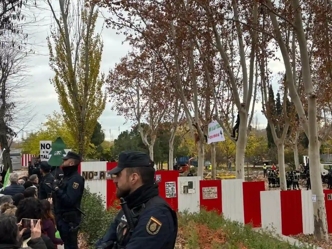 Protesta de vecinos, ecologistas, científicos, urbanistas por la agresiva tala del arboledo en Madrid / Foto: EP