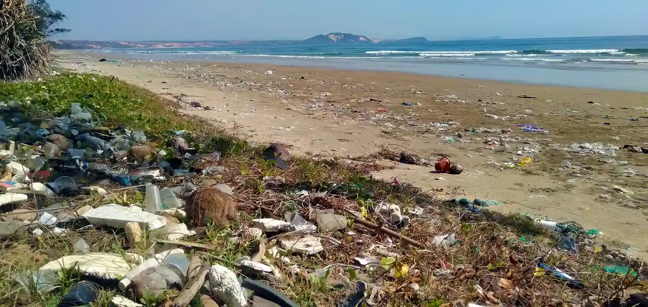 El plástico afecta a la fauna de los océanos y, finalmente, llega al ser humano a través de la red trófica marina / Foto: PB