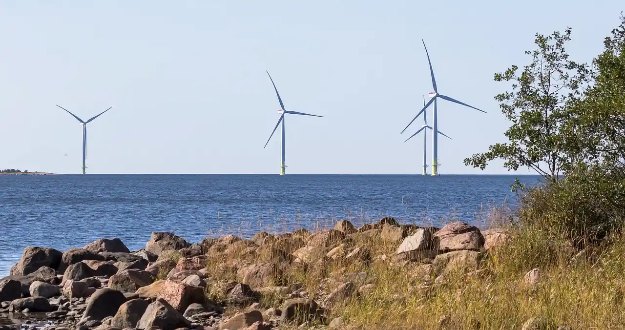 ¿Cómo afectan los parques eólicos marinos a la biodiversidad? Eólica marina en España / Foto: PB