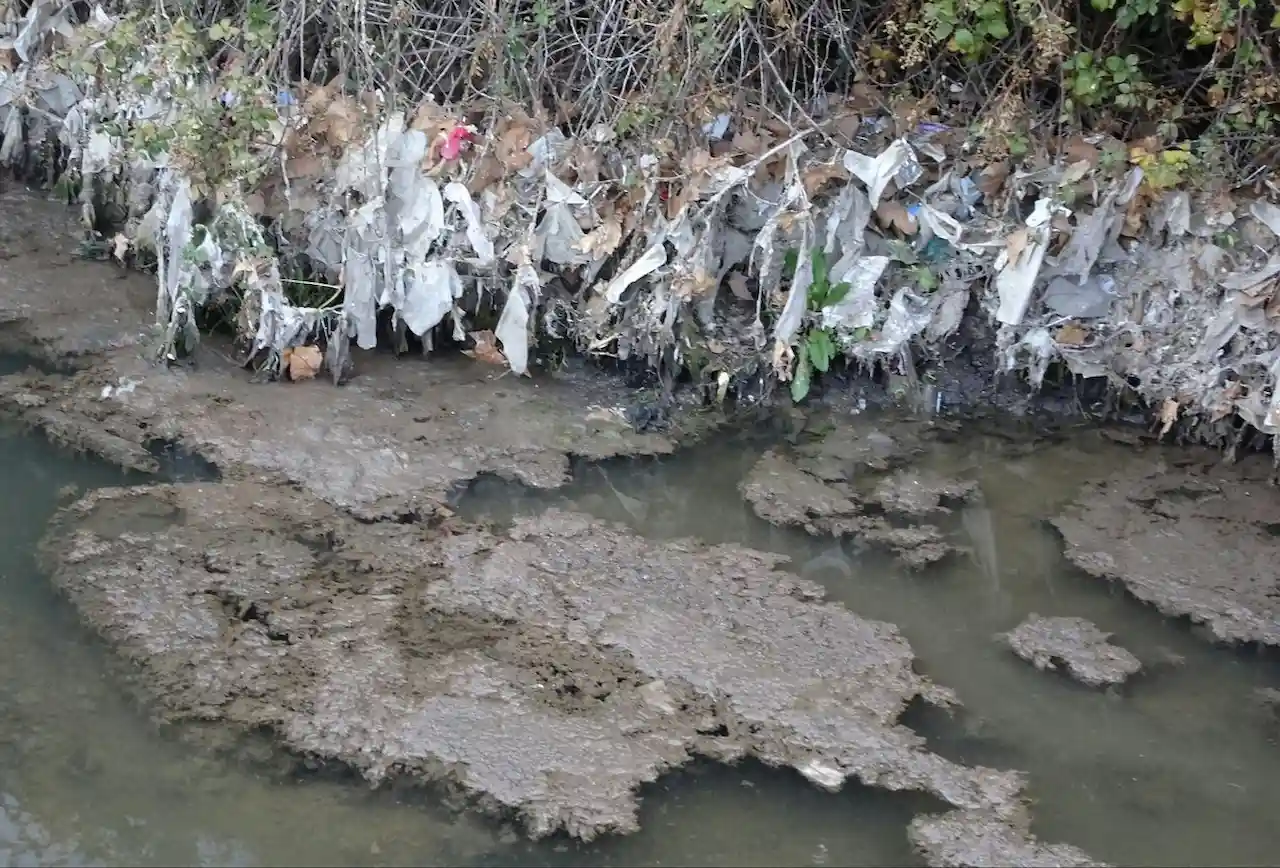 Observatorio de la Contaminación Difusa. Contaminación en el río Jarama / Foto: Asociación Ecologista del Jarama, El Soto