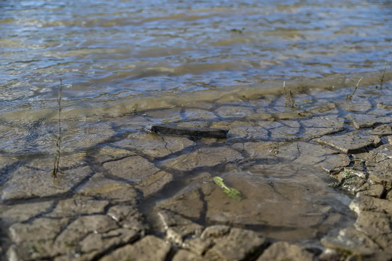 La reducción de caudales de los ríos en un 92% decretada por la Generalitat de Catalunya afectará a la vida piscícola / Foto: EP
