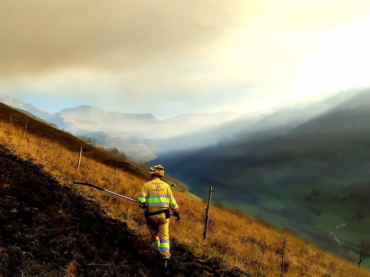 21 los incendios provocados en febrero 2024 en Cantabria / Foto: Gobierno de Cantabria