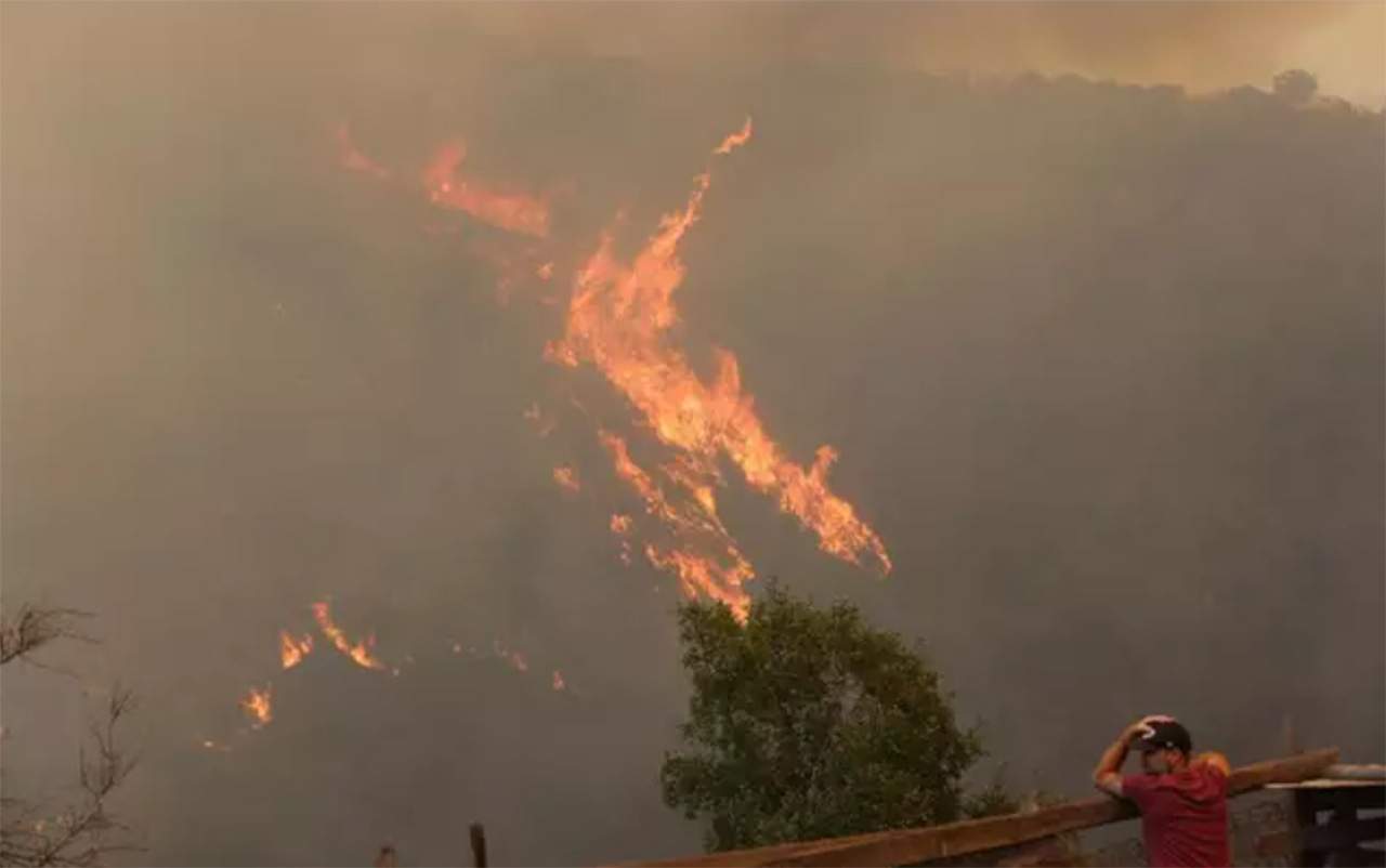 Incendios forestales causan daños en el sector Las Rosas de Quilpué en Chile / Foto: EP