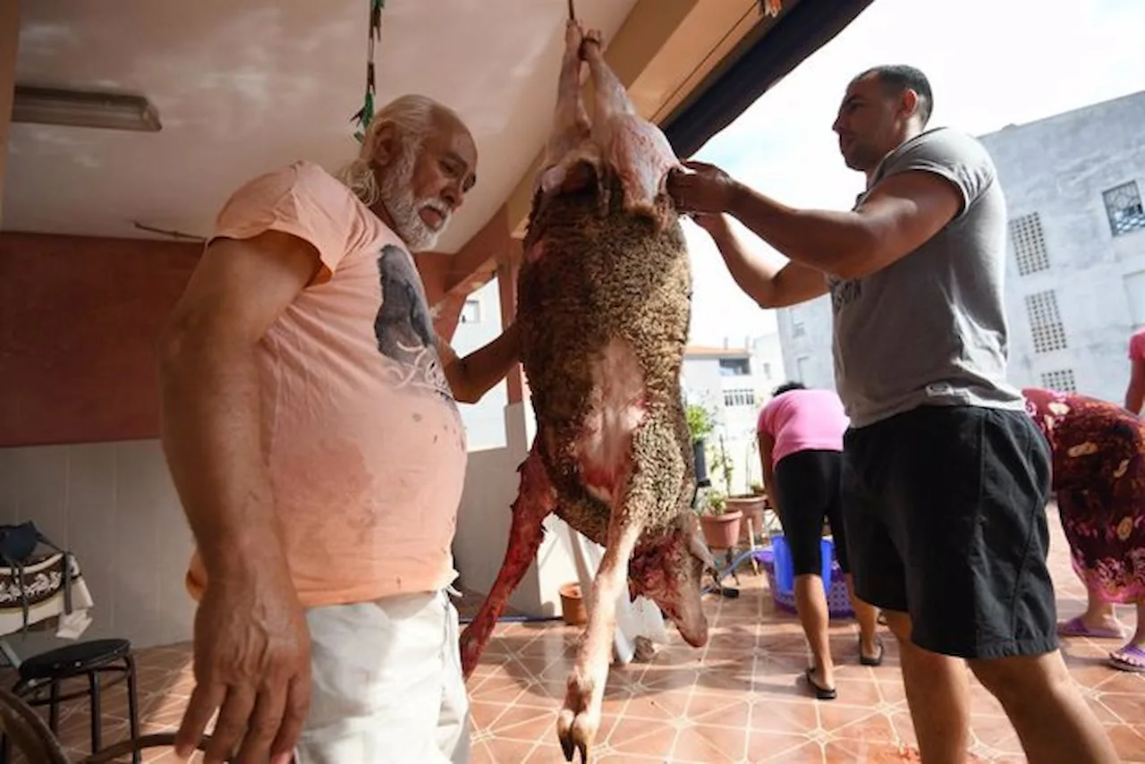 Prohibición de los sacrificios de animales con ritos 'kosher' y 'halal'. Familia del barrio del Principe durante el sacrificio de un corderos en su propio hogar / Foto: EP