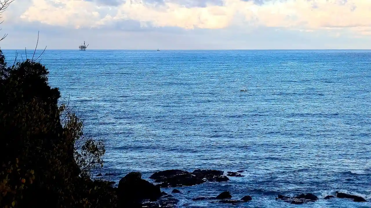 Los riesgos ambientales de la minería submarina / Foto: Carlos Bravo (OceanCare)