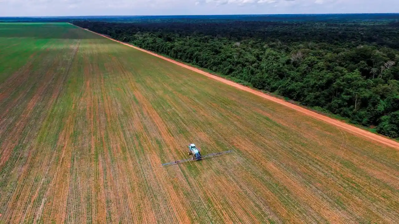 Fumigación con plaguicidas durante el cultivo de soja en Brasil / Foto: UTPL