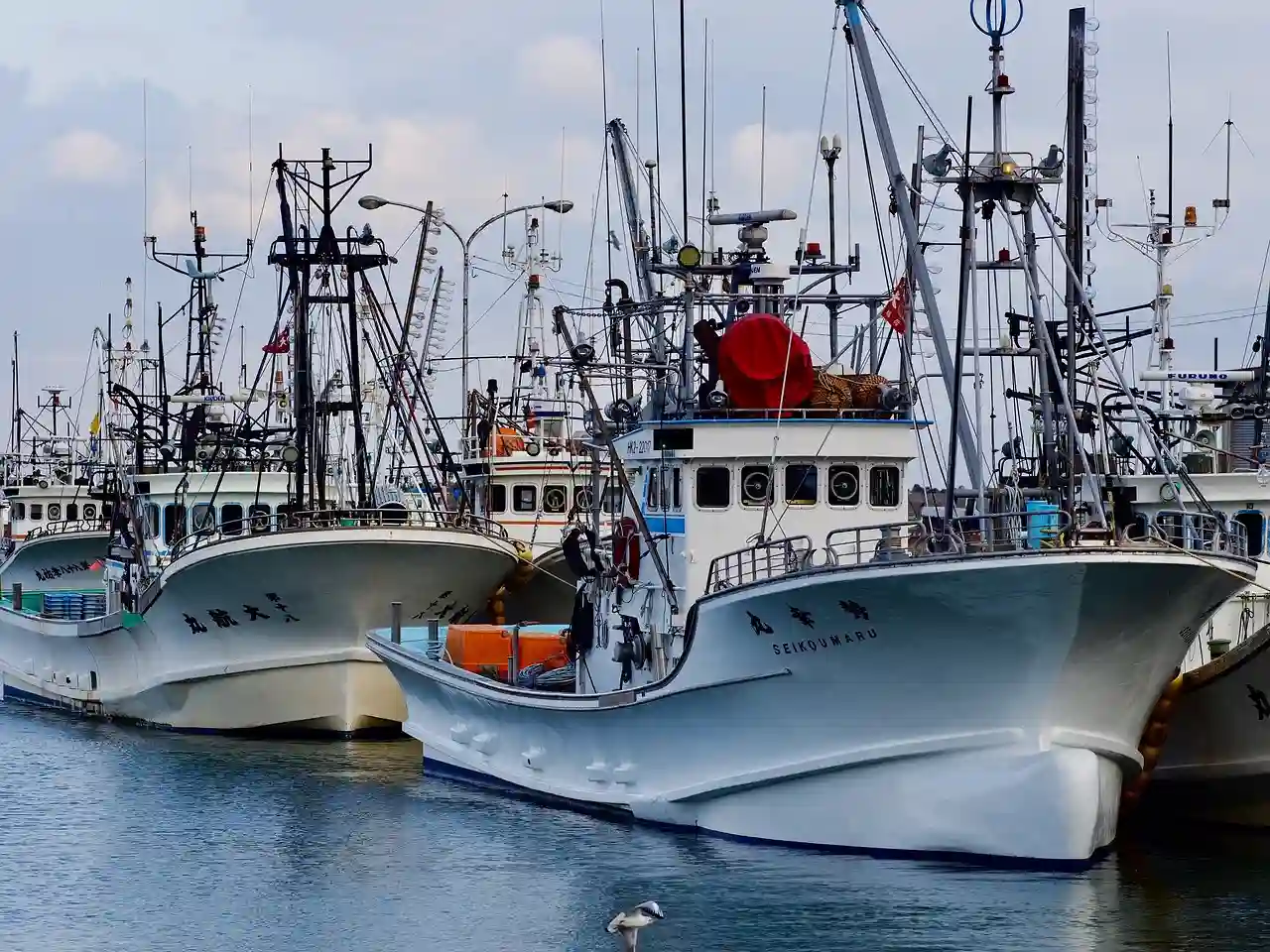 Gestión de la pesca del atún rojo / Foto: PB