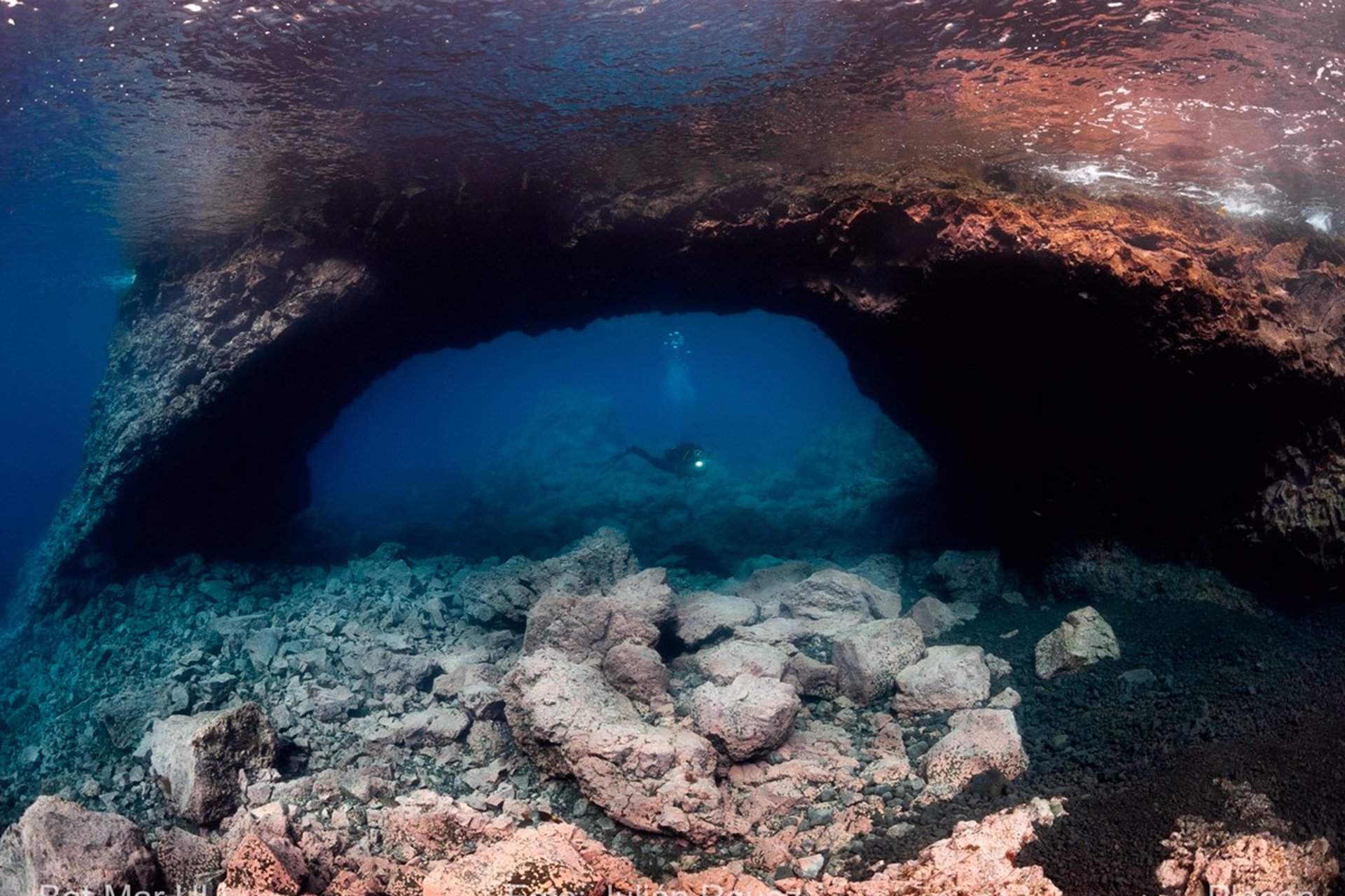 Los peces, los primeros en colonizar los deltas lávicos del volcán Tajogaite, (La Palma) / Foto:  ULL