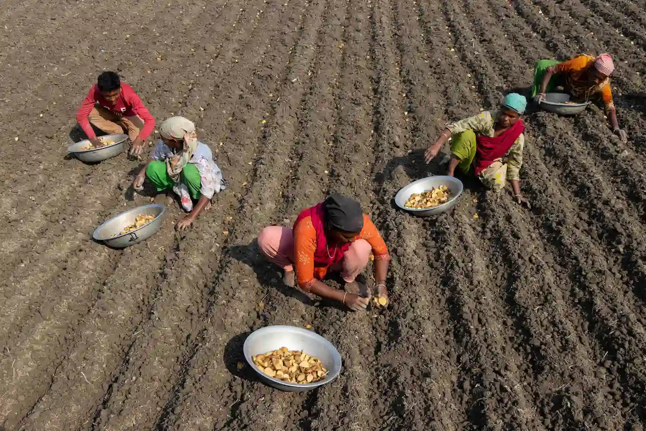 Mujeres rurales las más afectadas por el cambio climático / Foto: EP