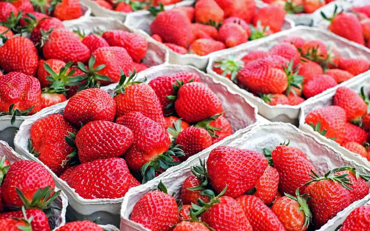 Las fresas contamindas con hepatitis A / Foto: PB