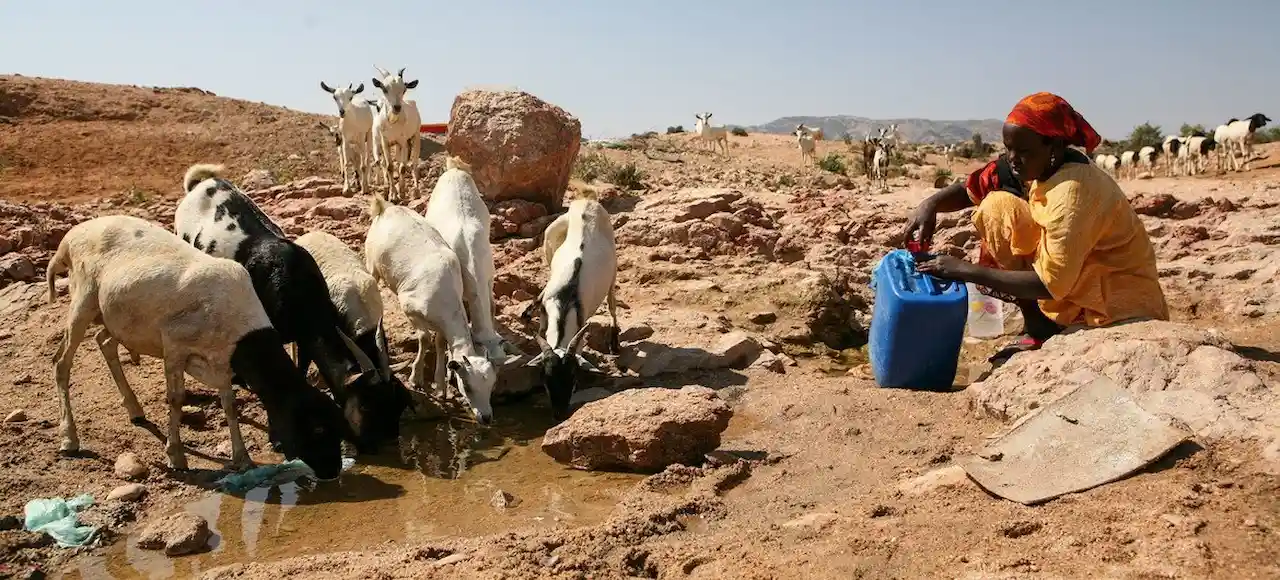 La crisis climática no es solo un problema ambiental. El cambio climático exacerba las desigualdades / Foto: UN